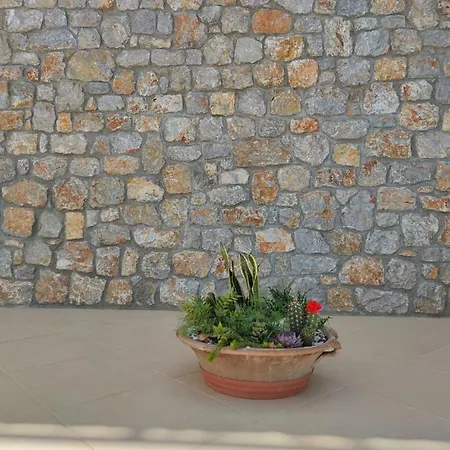 מלון Plaza מאסורי